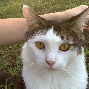 Meet your Posher, Lindsey